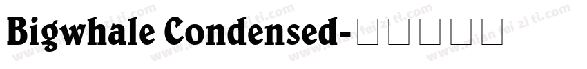 Bigwhale Condensed字体转换